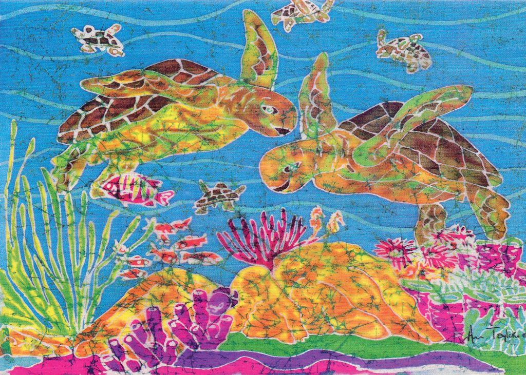 A First Blog! About Turtles…