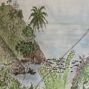 Arnos Vale Beach from Veranda Above, Tobago