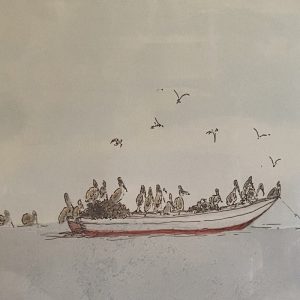 Pelicans at Rest